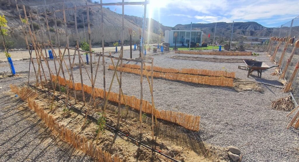 d34d1bc1-6bc9-47e2-8af5-8ba4bb9a9334